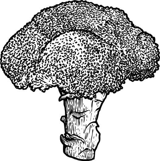 Thumbnail for original image