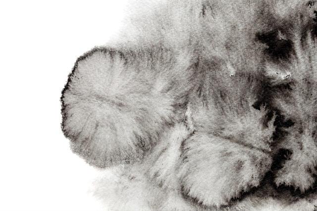 Thumbnail for original image