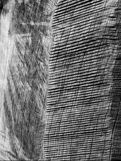 Thumbnail for original image