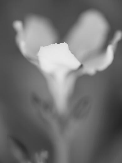 Thumbnail for original image