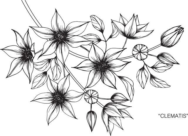 Thumbnail for original image