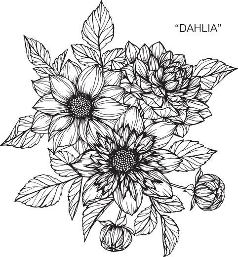 Thumbnail for original image