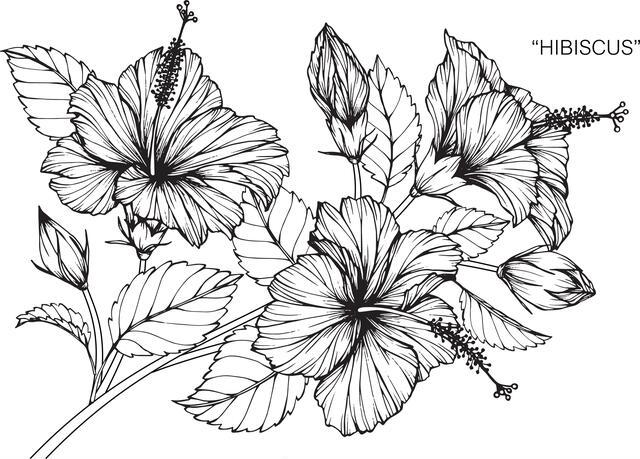 Thumbnail for original image