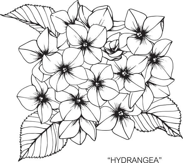 Thumbnail for original image