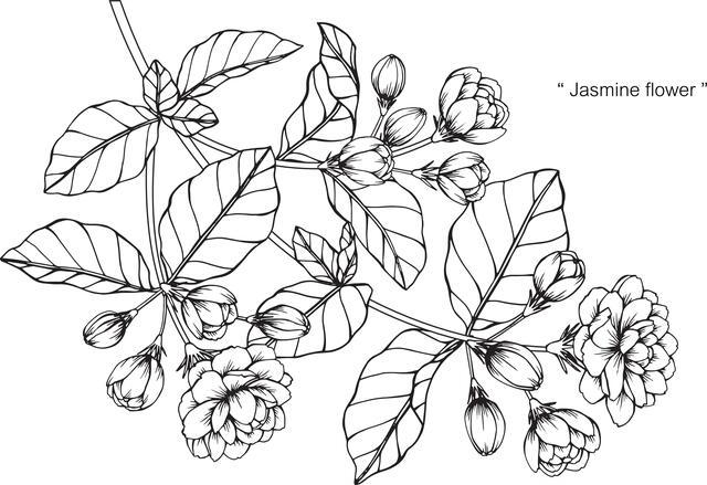 Thumbnail for original image
