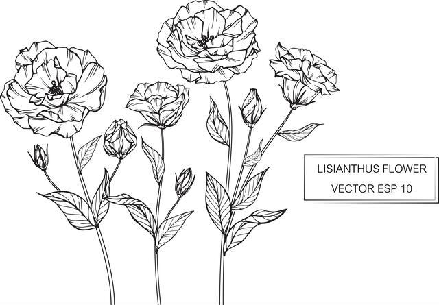 Thumbnail for original image