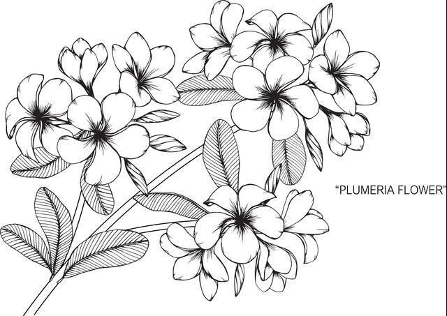 Thumbnail for original image