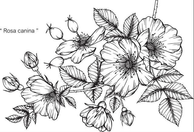 Thumbnail for original image