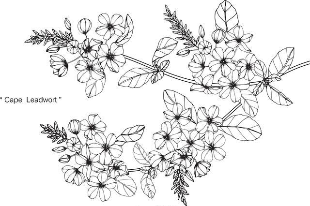 Thumbnail for original image