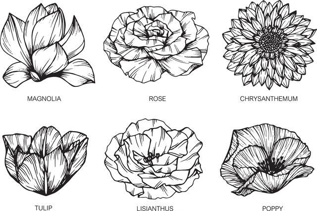 Thumbnail for original image