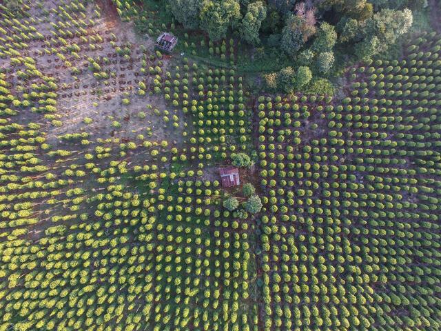 Thumbnail for original image