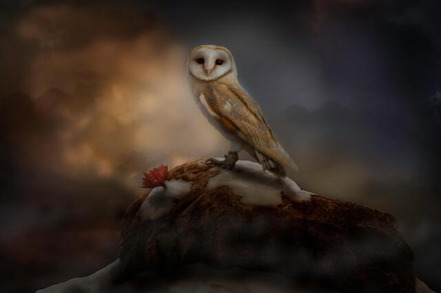 Thumbnail for original image