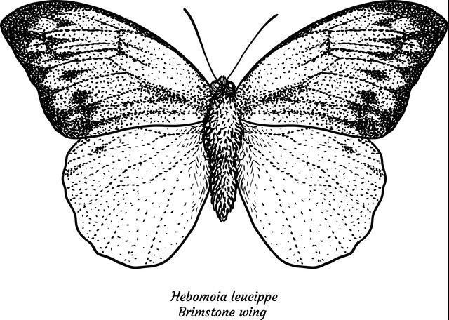 Thumbnail for original image