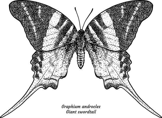 Thumbnail for original image