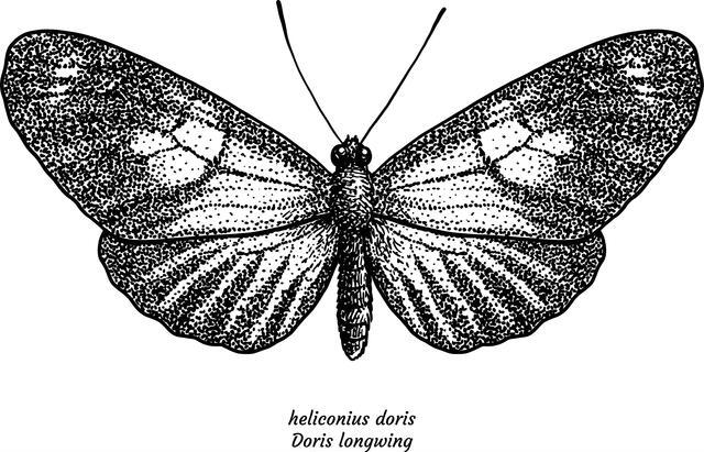 Thumbnail for original image