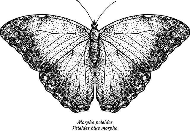 Thumbnail for original image