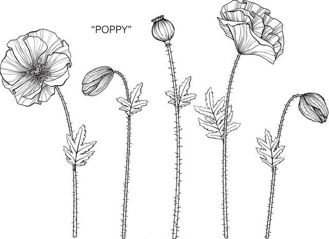Thumbnail for original image