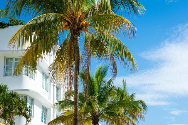 Thumbnail for original image