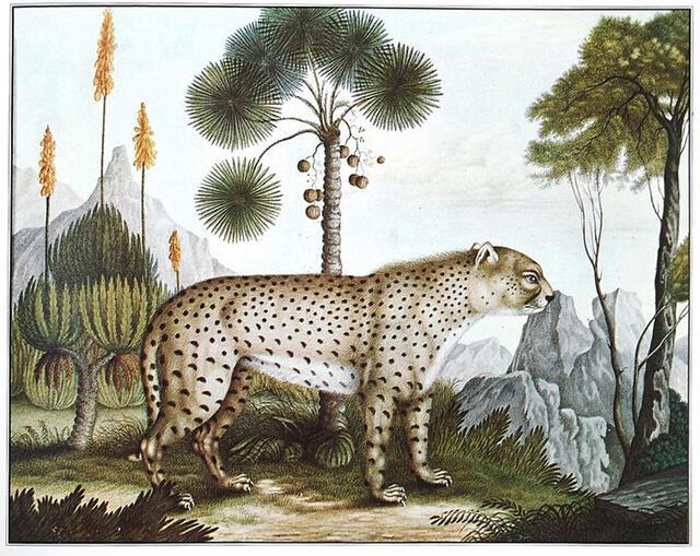 Thumbnail for original image