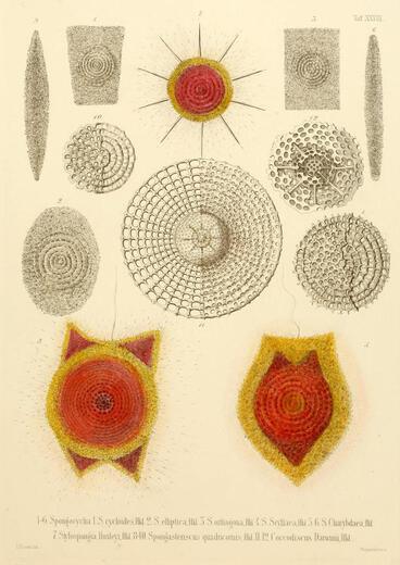 Thumbnail for original image