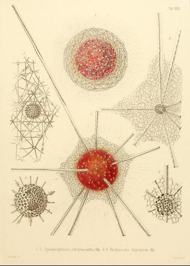 Thumbnail for original image