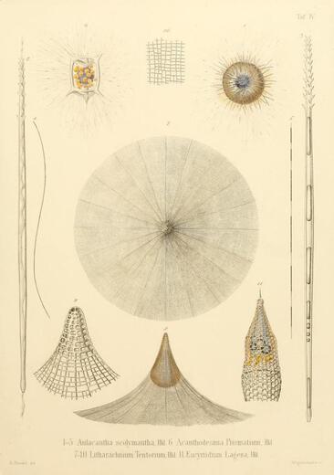 Thumbnail for original image
