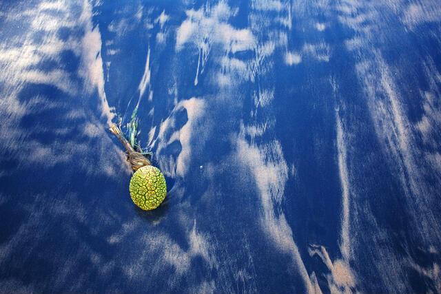 Thumbnail for original image