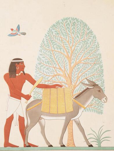 Thumbnail for original image