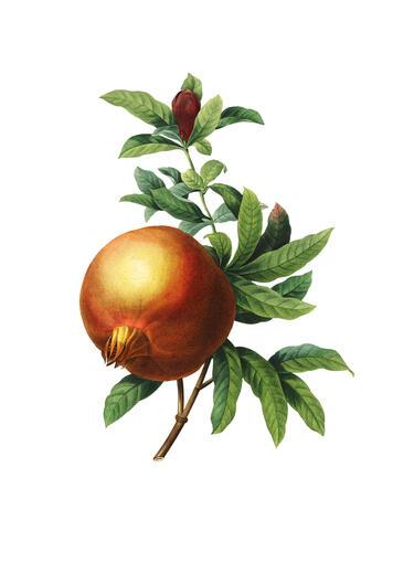 Thumbnail for original image