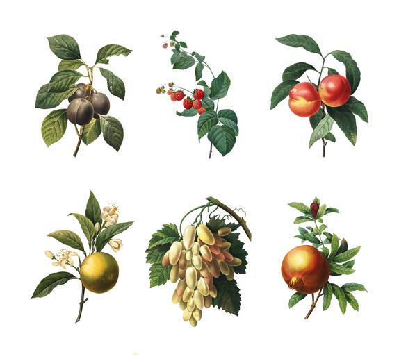 Thumbnail for original image