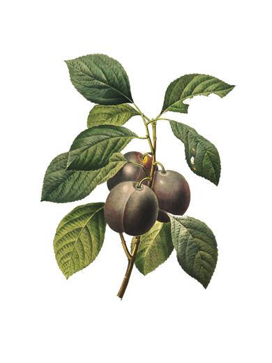 Thumbnail for original image