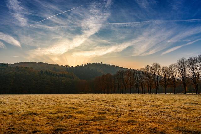 Thumbnail for original image