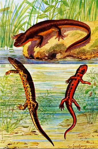 Thumbnail for original image