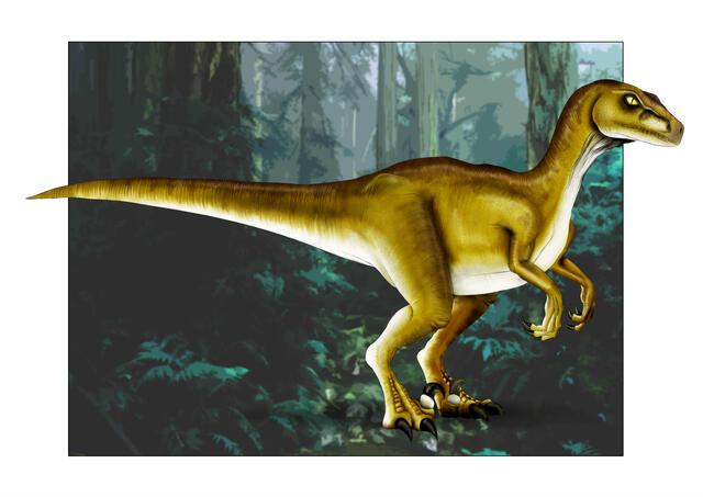 Thumbnail for original image