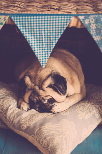 Thumbnail for original image