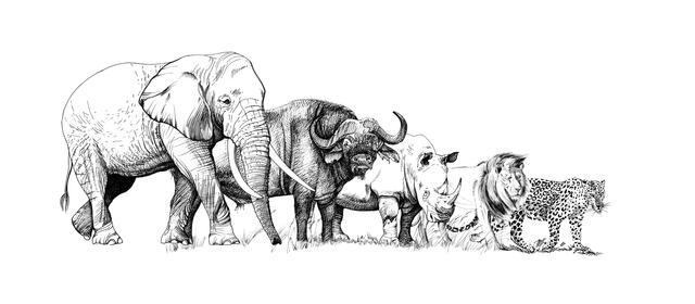 Thumbnail for original image