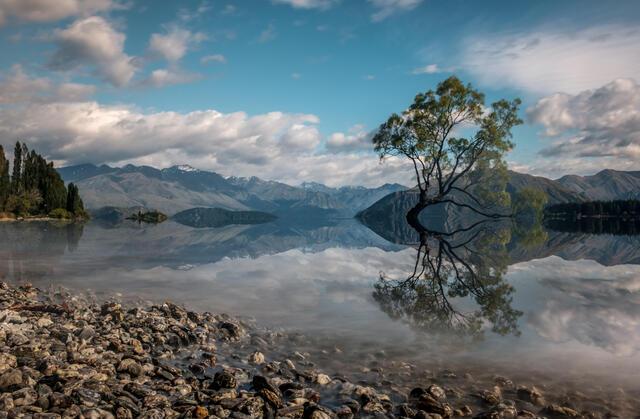 Thumbnail for original image