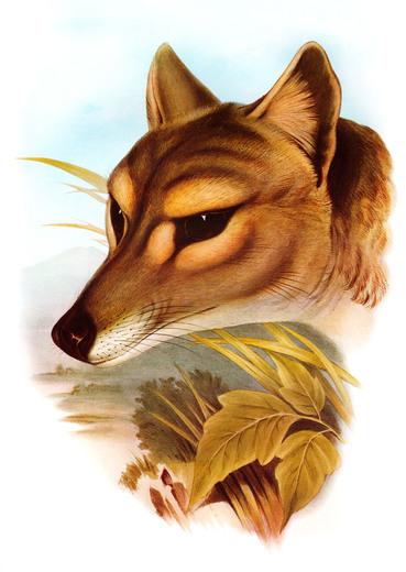 Thumbnail for original image
