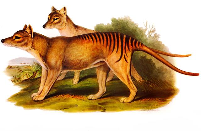 Thumbnail for original image