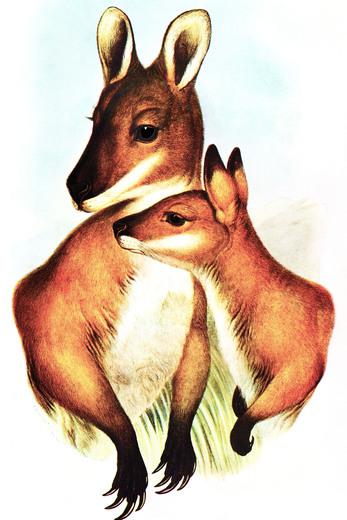 Thumbnail for original image