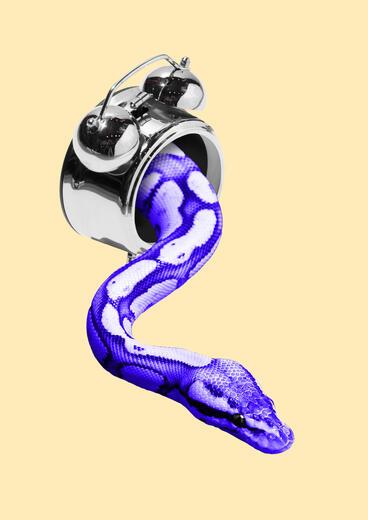 Thumbnail for original image
