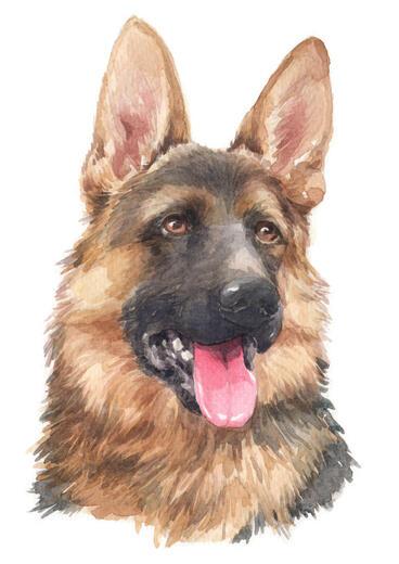 Thumbnail for original image