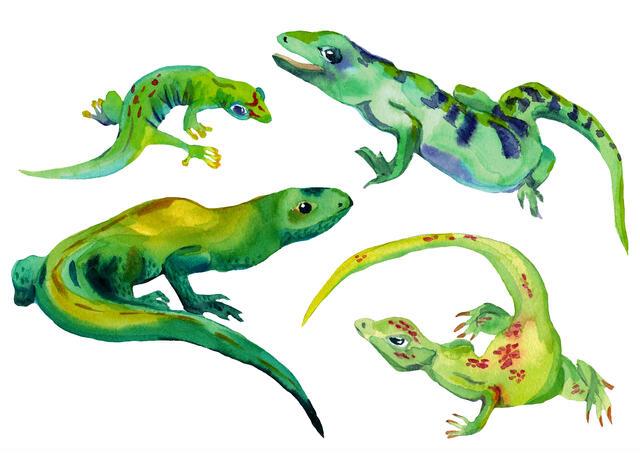 Thumbnail for original image