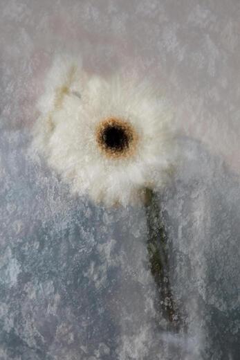 Thumbnail for original image