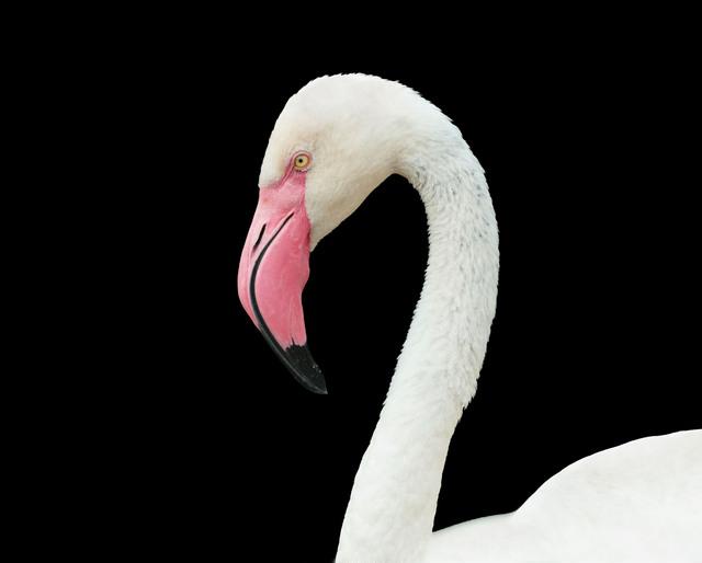 Thumbnail for original image