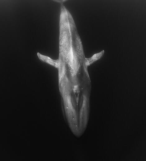 Thumbnail for original image