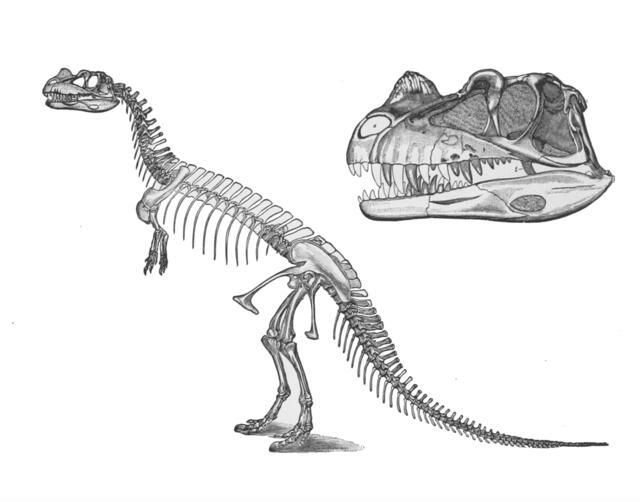 Thumbnail for original image