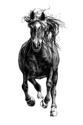 Thumbnail for original image