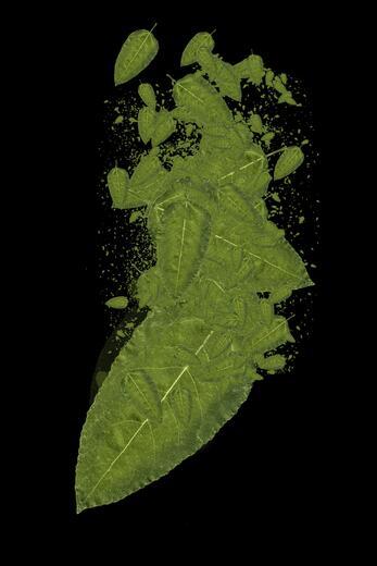 Thumbnail for original image