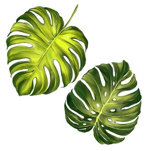Thumbnail for original image